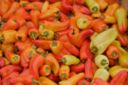 Peperoni arrostiti al forno e al microonde, come farli facilmente