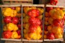 la ricetta dei peperoni ripieni di verdure da fare al forno