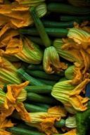 Parmigiana di zucchine in bianco, con alici fresche e fiori di zucca