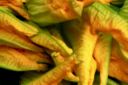 Come fare i fiori di zucca ripieni al forno