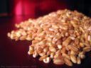 Ricette del sorriso, insalata di spinaci, fagioli e farro