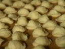 Ricette primi: le orecchiette fatte in casa