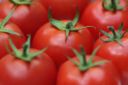 Il pomodoro: proprietà, valori nutrizionali e storia del re rosso della cucina