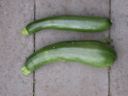 La ricetta delle zucchine sott'olio per una facile conserva