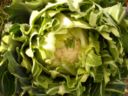 Come cucinare il cavolfiore in 5 ricette veloci