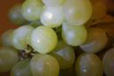 Come fare il vincotto con la ricetta della tradizione