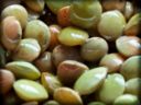 Le lenticchie di Altamura, proprietà e ricette della tradizione