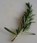 Stuzzichini: ricetta delle frittelle al rosmarino