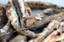 Ricette pesce: acciughe fritte al lime