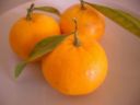 Come preparare il liquore al mandarino a casa, la ricetta