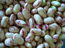 Ricette primi: maltagliati fagioli e gamberi