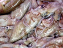 Ricette di pesce: calamari e porri in vinaigrette di limone