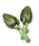 Guazzetto di carciofi al profumo di mentuccia