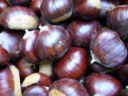 Ricette dessert: budino di castagne e cioccolato