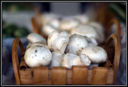 Ricette vegetariane: champignon in padella
