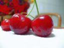 Ricette dolci: coppa di ciliegie al vino rosso