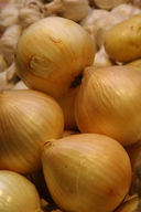 Ricetta delle cipolle ripiene alla genovese