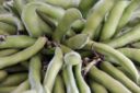Ricette di stagione: le cipolle ripiene di fave