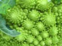 Ricette contro: i broccoli a crudo per prevenire i tumori