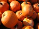 Ecco la zucca alla piastra insaporita con aceto balsamico e rosmarino