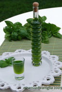 Ricette liquori: digestivo al basilico