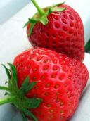 Ricetta dolce: Torta light alle fragole e yogurt