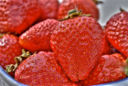 Ricette da bere: il liquore alla fragole