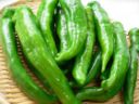 Ricette facili: friggitelli al sugo di pomodoro
