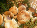 Ricetta piatto unico: funghi porcini e patate