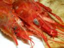 Le varietà più comuni di gamberi