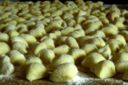 Gnocchi di patate fatti in casa