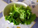 Ricetta facile antipasto: insalata con robiola