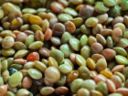 Ricette di Capodanno: le lenticchie in insalata