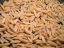 Ricette dolci per Pasqua: pirottini di mandorle