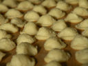 Ricetta facilissima delle orecchiette alla ricotta