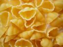 Ricette primi piatti: conchiglie con noci, robiola e cuore di sedano