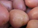 Ricette facili: insalata di patate e mandorle