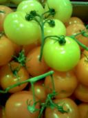 Curiosità: pomodori gialli ed arancioni.