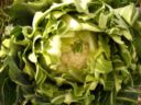 Ricette dall’orto: lo sformato di riso e cavolfiore