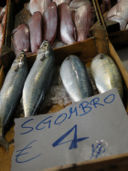 Ricette secondi di pesce: sgombro alle erbette fini