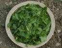 Ricetta dell'insalata autunnale con mele e spinaci