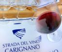 Carignano del Sulcis: il vitigno a piede franco del sud-ovest sardo