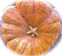 Ricetta dolci: Crostata di zucca