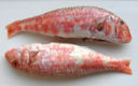 Ricette pesce: triglie a vapore