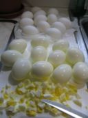 Insalatona con uova e germogli
