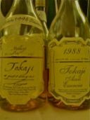 Vino dolce: il Tokaji ungherese.