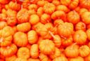 Ricette contorni: teglia di zucca al forno con peperoncino e coriandolo