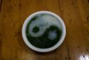 Ricette Primi: Zuppa di Ortiche