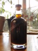 Nocino