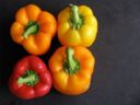 Peperoni ripieni di carne